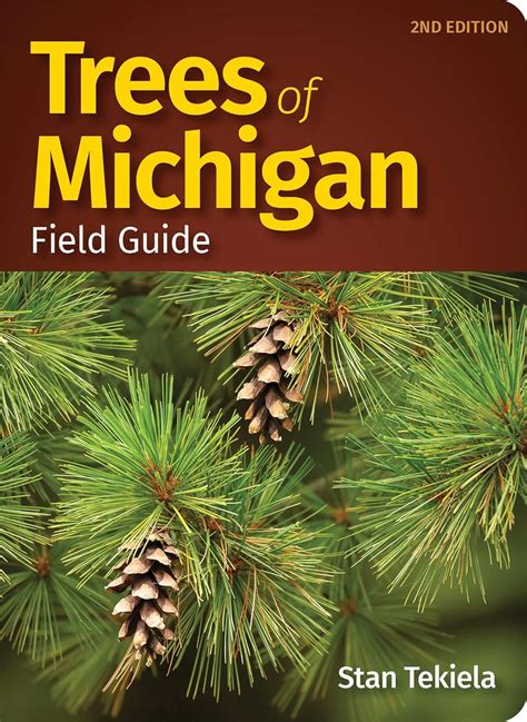 Research Guides: American Women: A Guide to Women's .